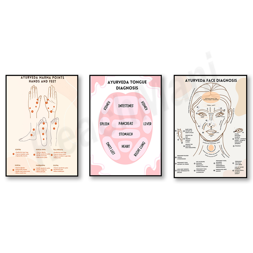 Ayurvedic energy chart, Ayurve - Ayurvedic & Herbal Wellness Kits review and price
