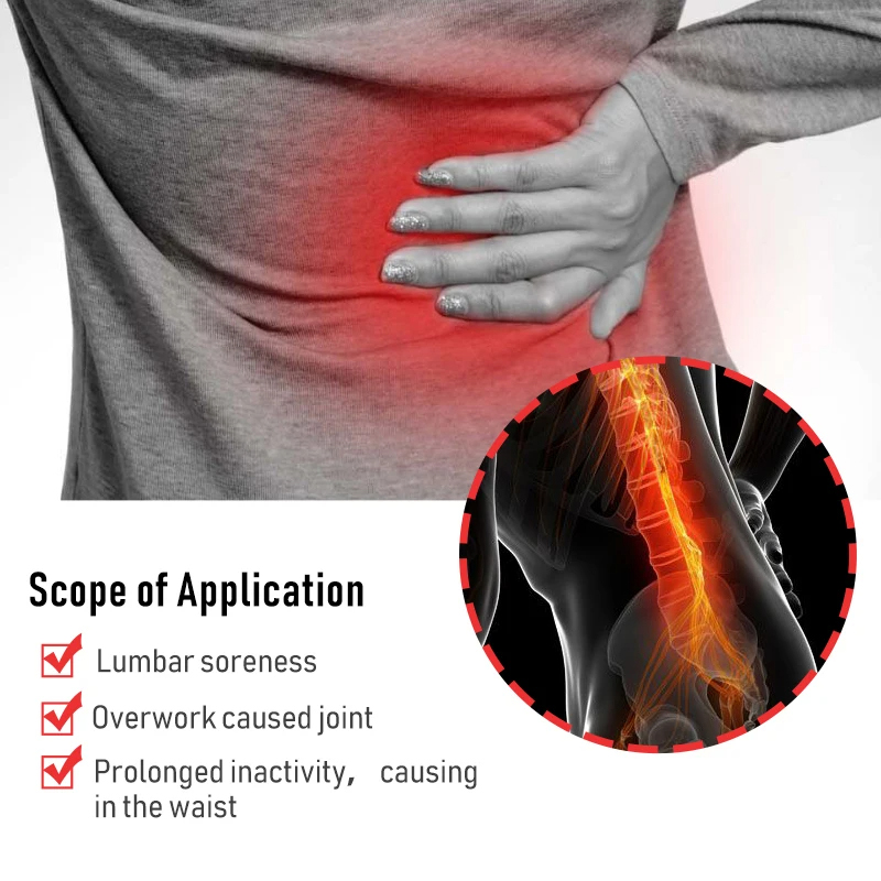 60/6 PCS Lumbar Pain Patch Wor - Herbal Wellness Patches review and price