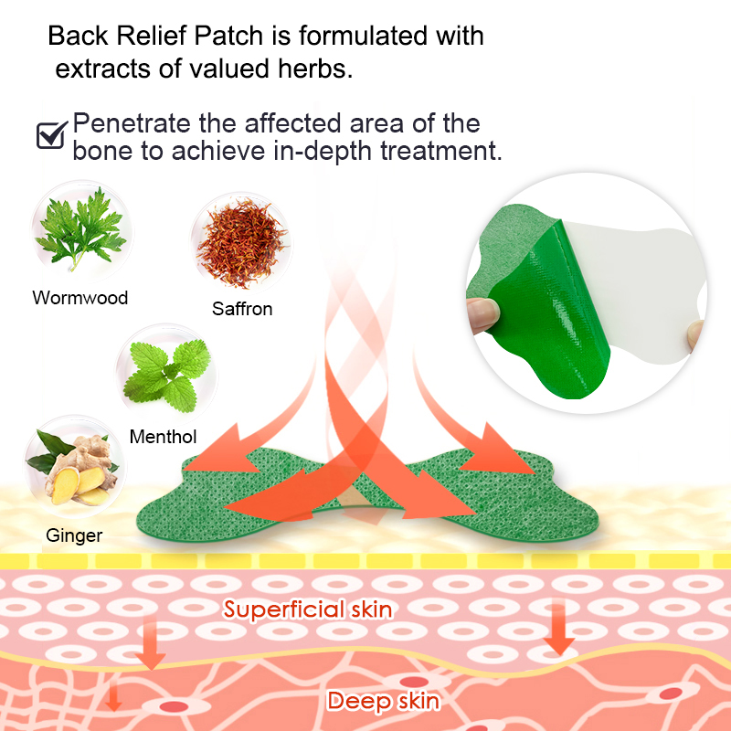 60/6 PCS Lumbar Pain Patch Wor - Herbal Wellness Patches review and price